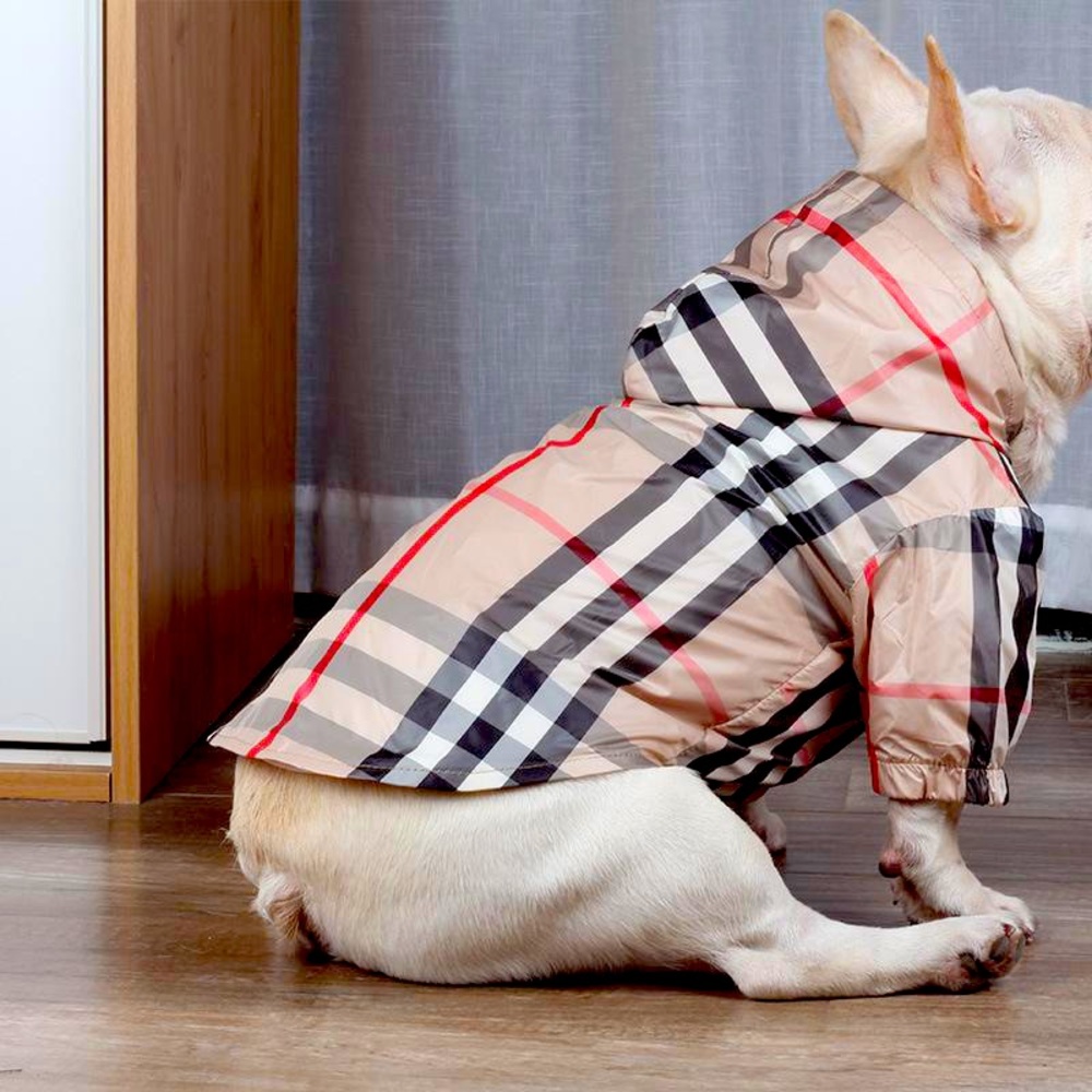 🐶💕 Burberry - Dog Windbreaker 🐾